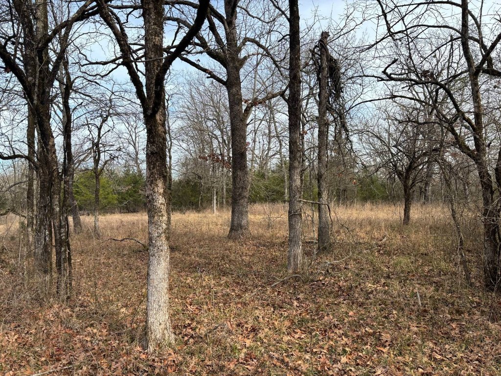 Picture 38