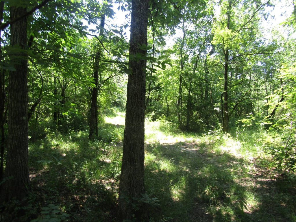 Picture 48