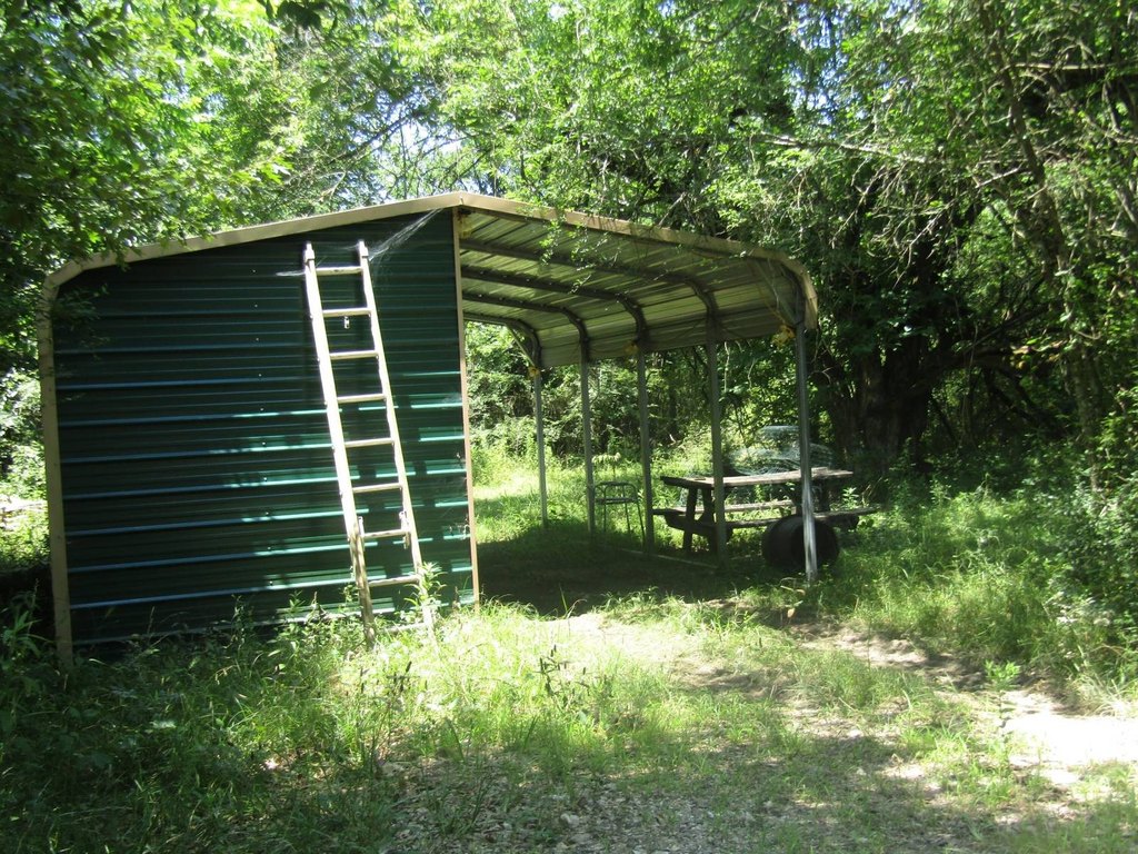 Picture 21