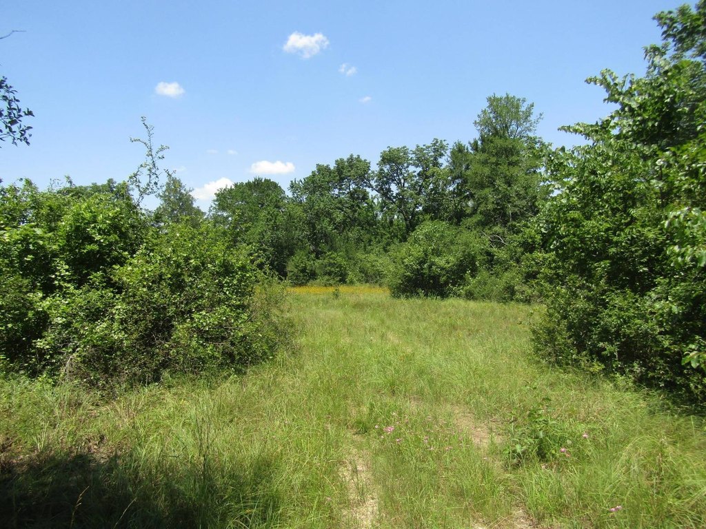 Picture 50