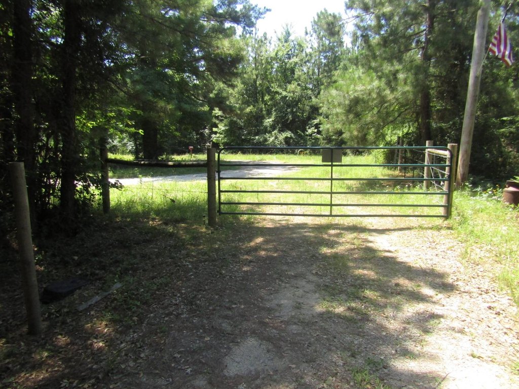 Picture 3