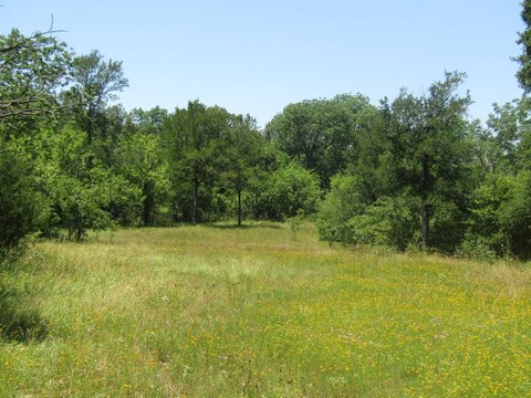 Recreational Hunting Tract with Cabin