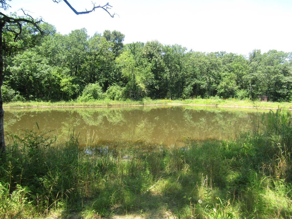 Picture 24