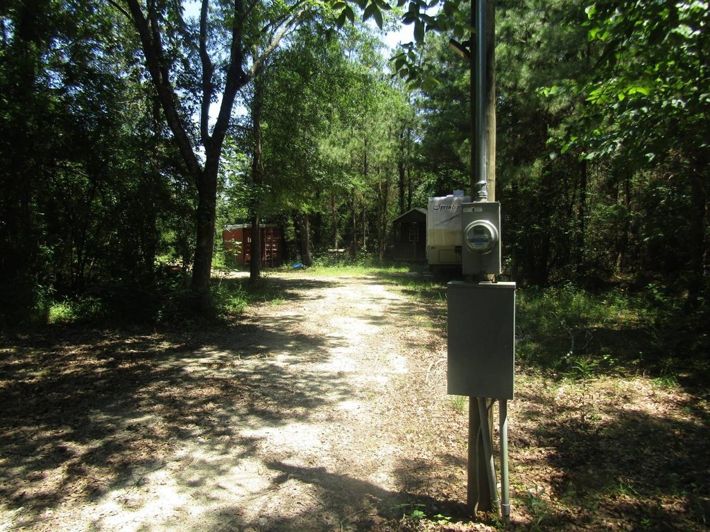 Picture 19