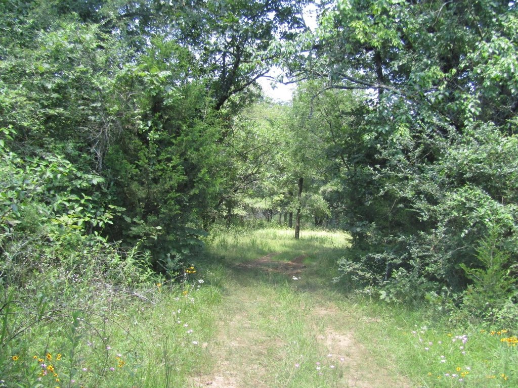 Picture 26