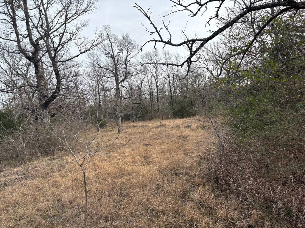 Picture 36