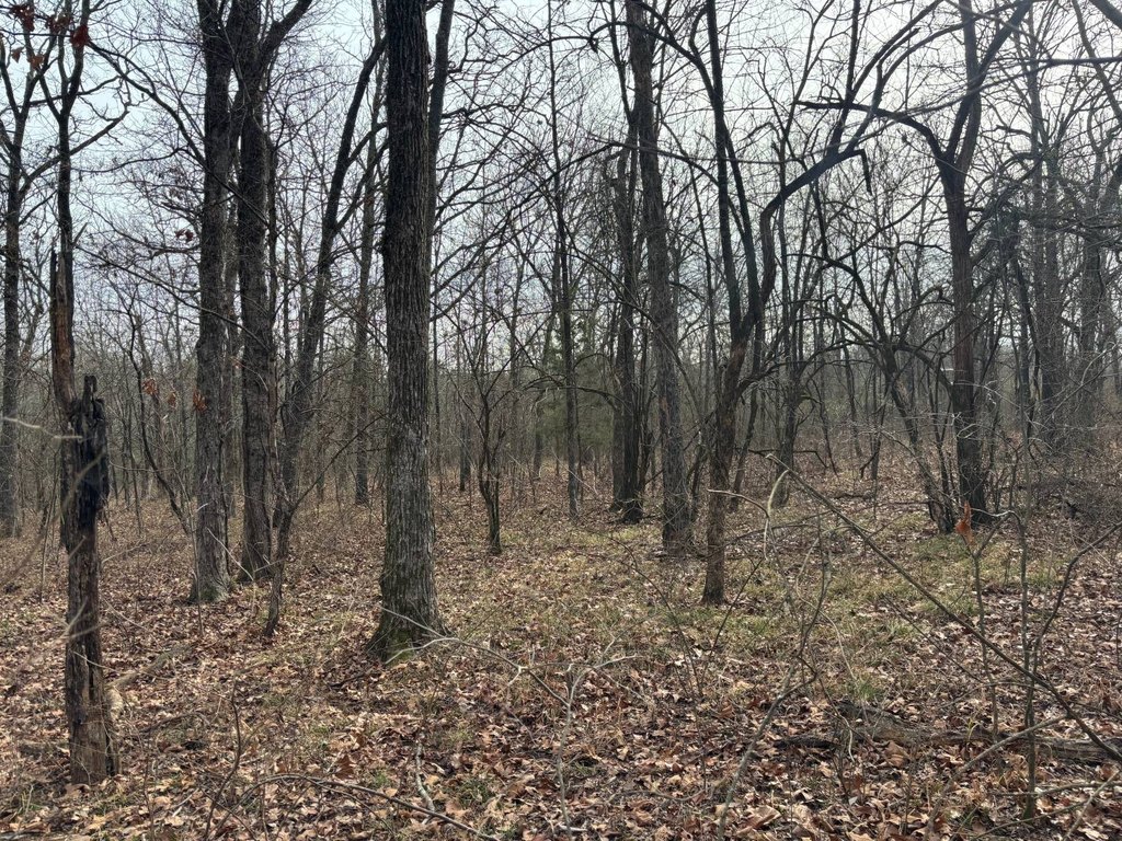 Picture 16