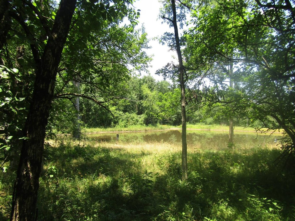 Picture 44