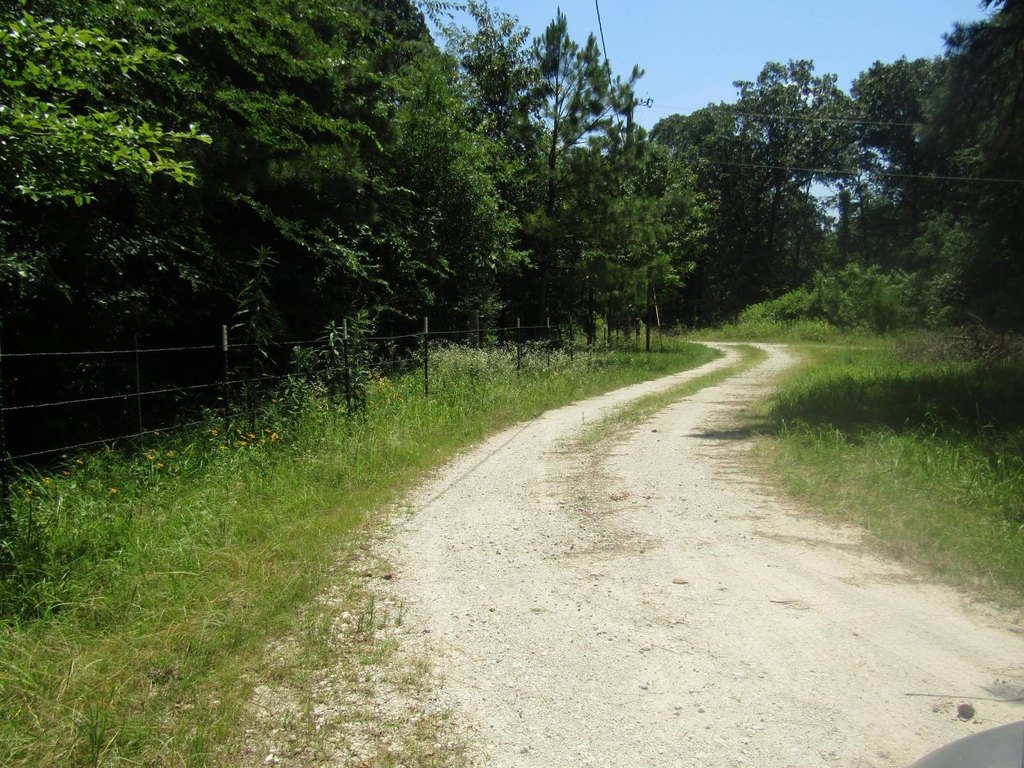 Picture 42