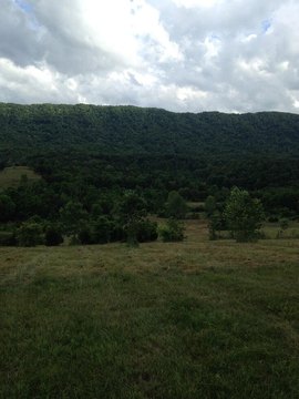 Thorn Hill Land Parcel