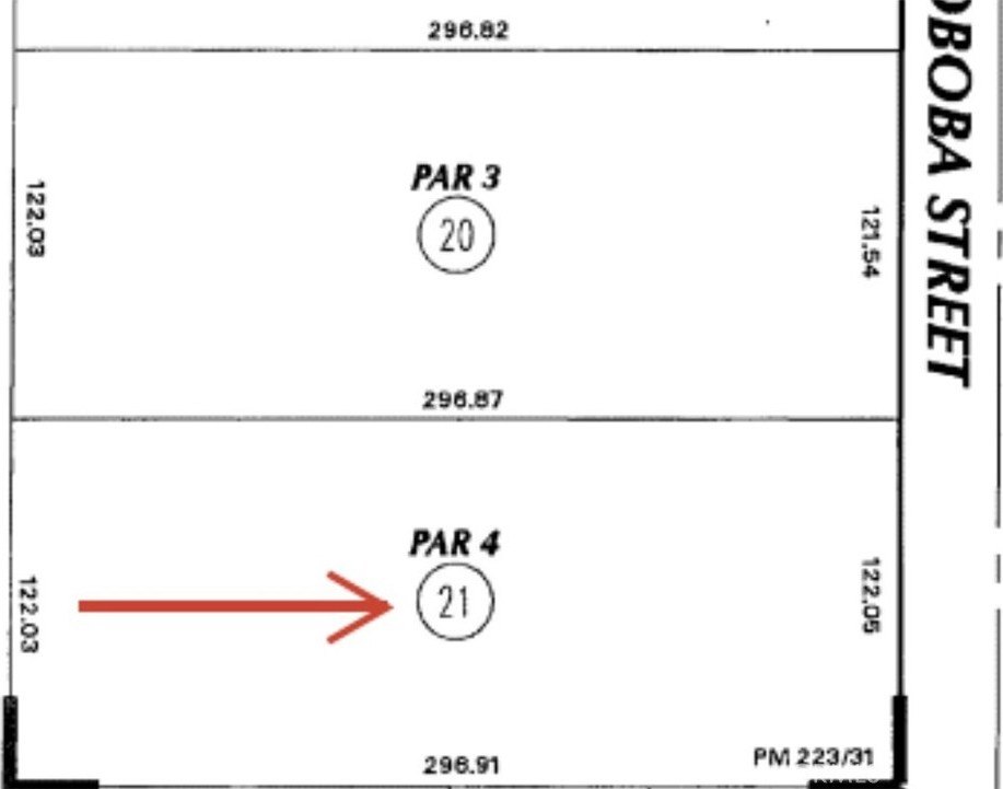 Picture 11