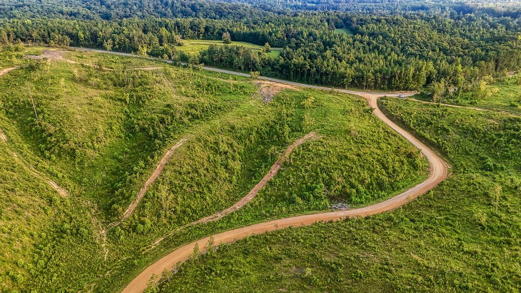 Picture 24