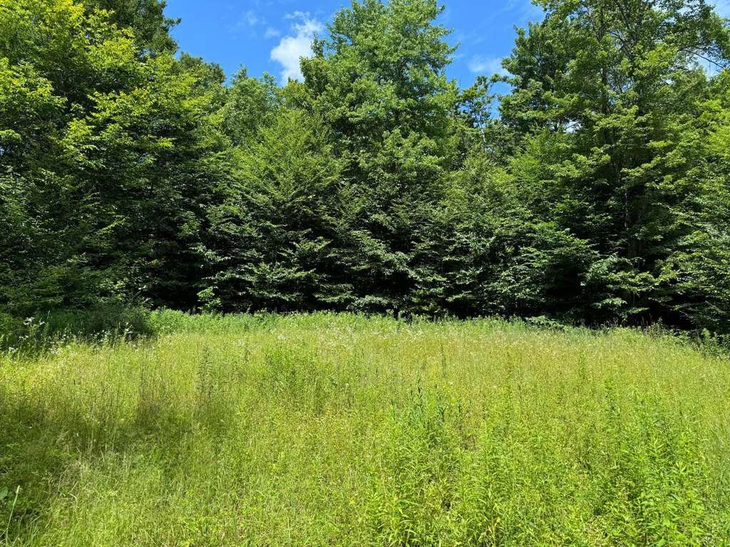 Picture 3