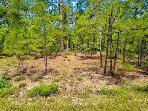Vacant Land, Hot Springs Village, AR