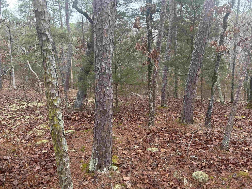 Picture 14