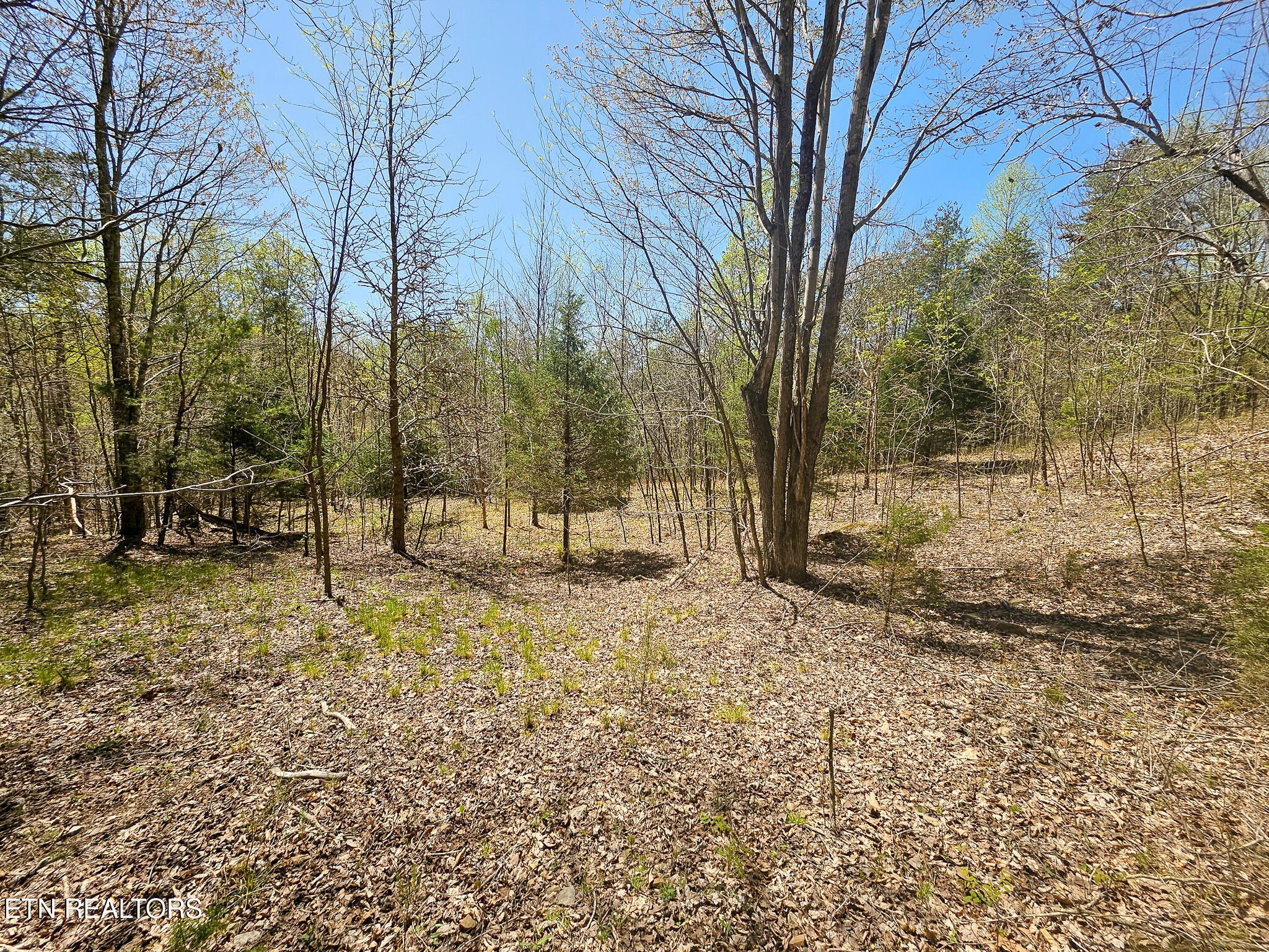 Private Land in Lone Mountain