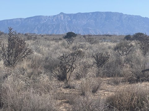 Rio Rancho Land For Sale