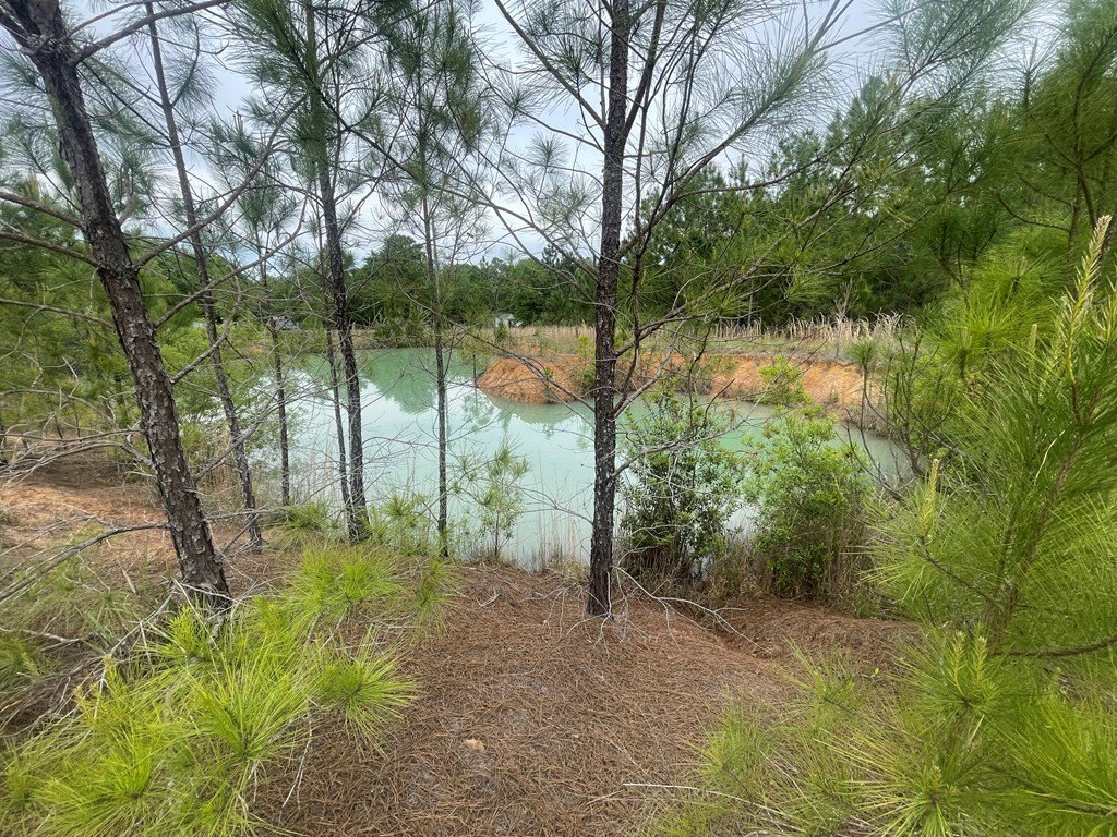 Picture 3
