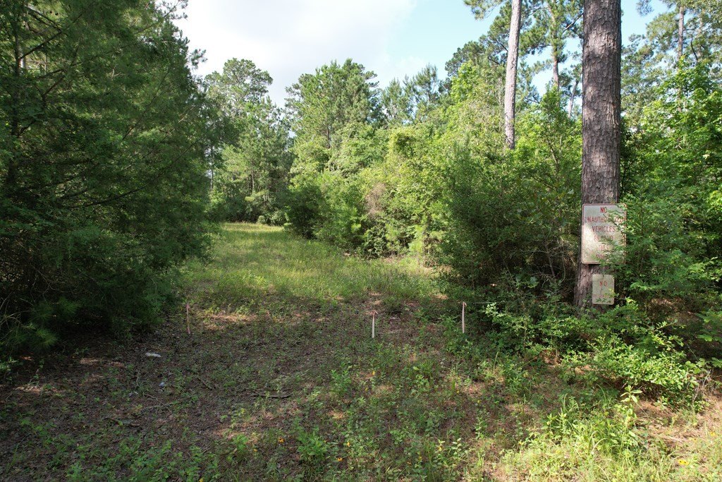 Picture 15