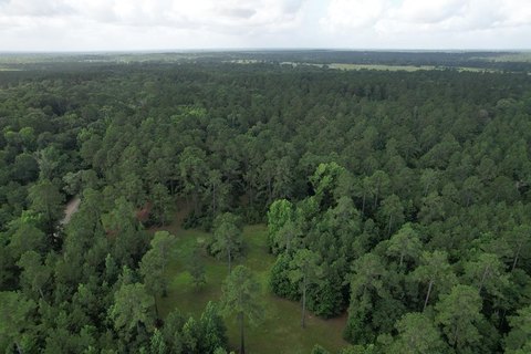 64+ Acre Timber Tract