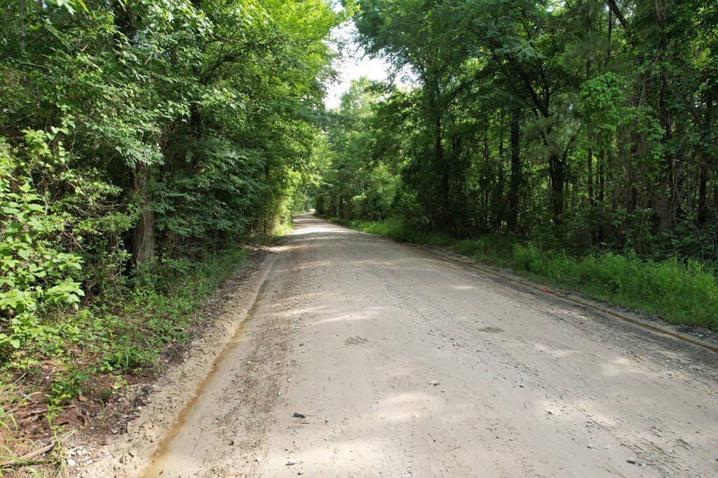 Picture 16