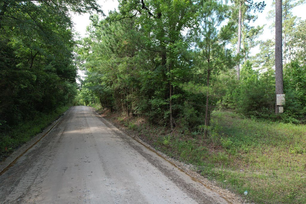 Picture 17