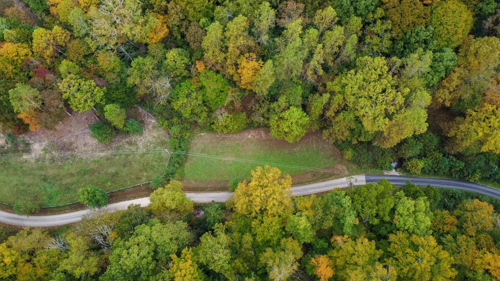 Picture 55
