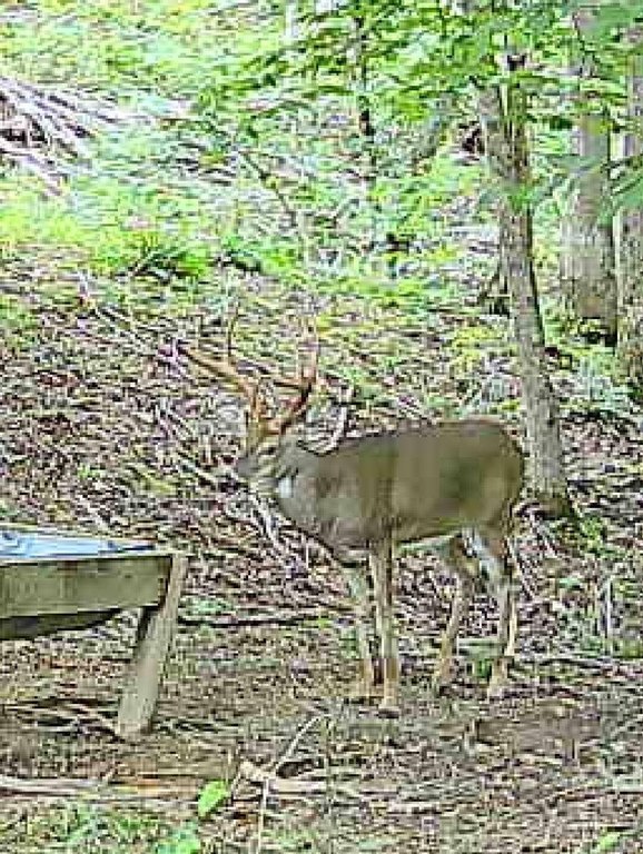 Picture 28