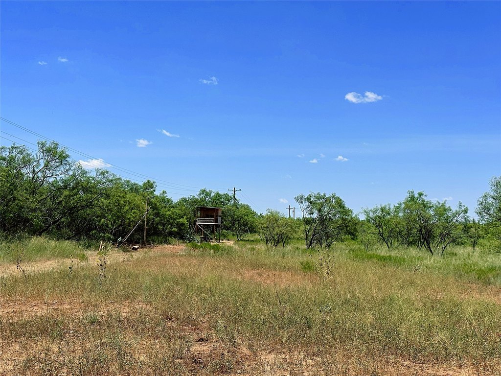 Picture 20