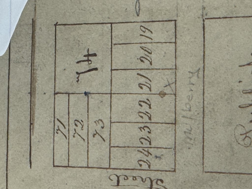 Picture 7