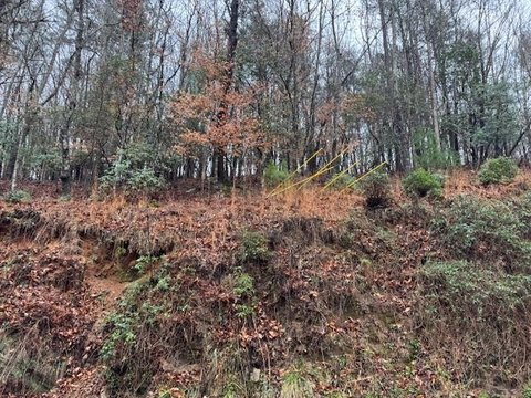 Gated Community Mountain Home Lot