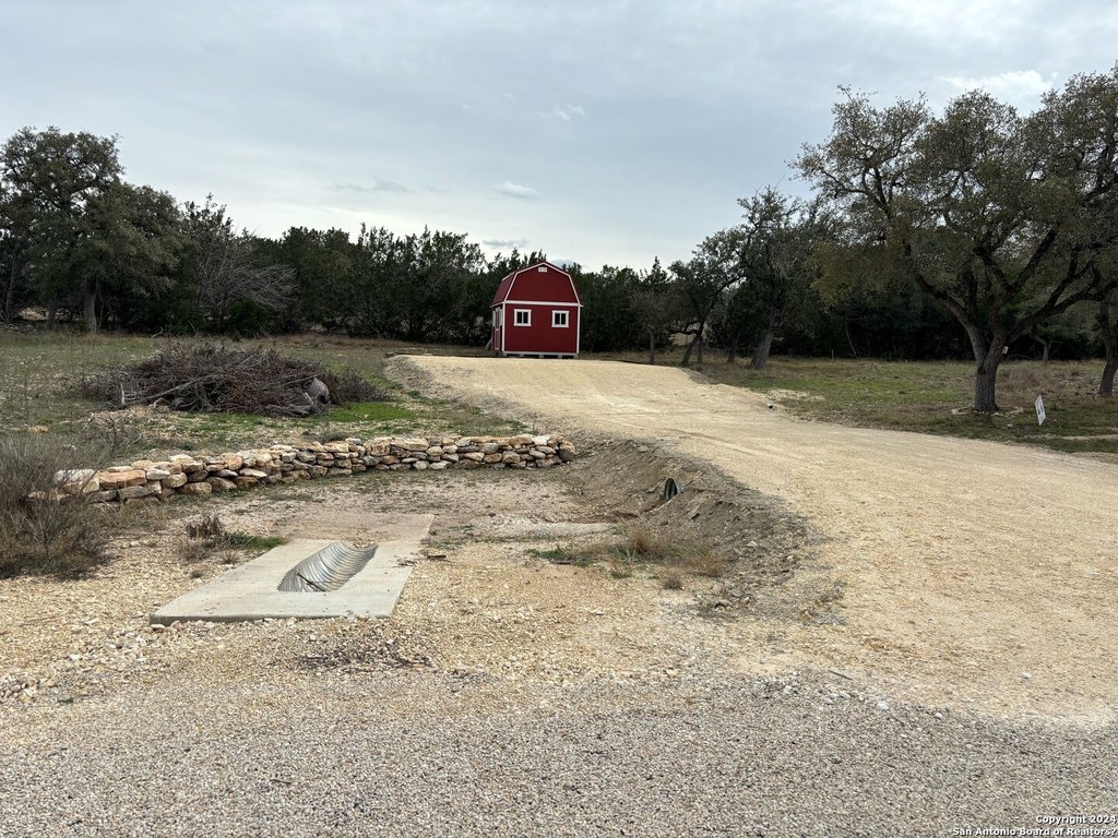 Picture 6