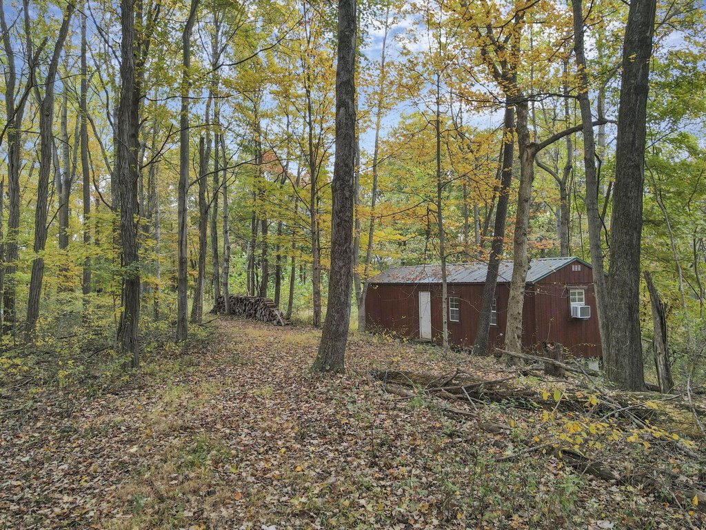Picture 23