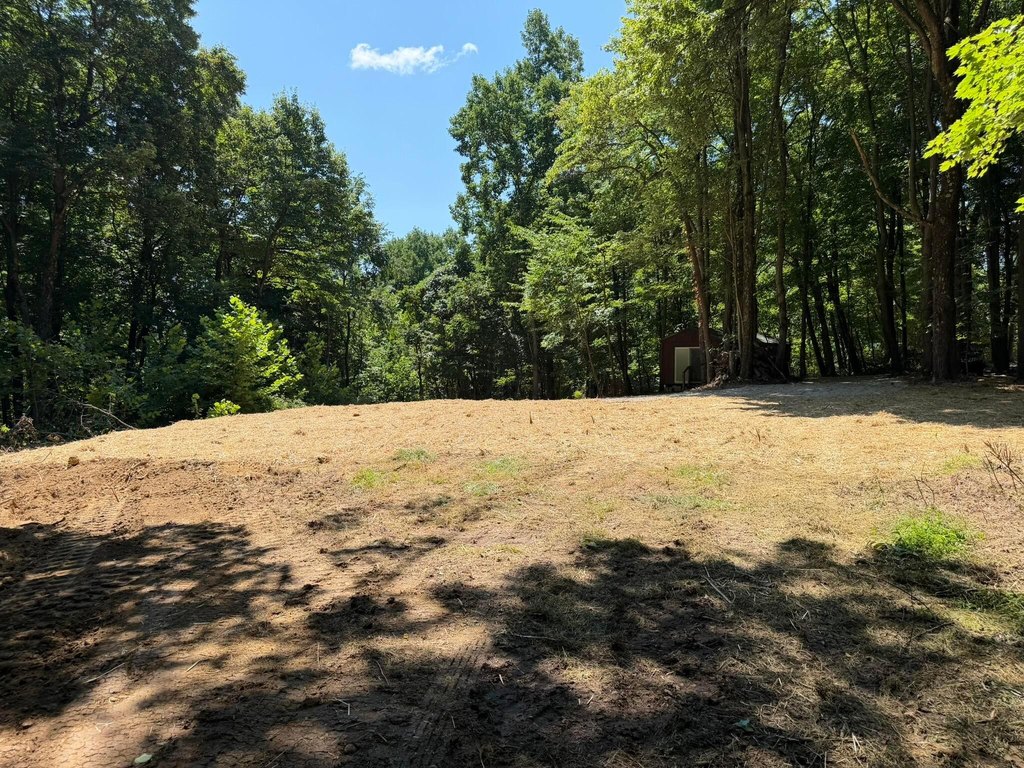 Picture 22