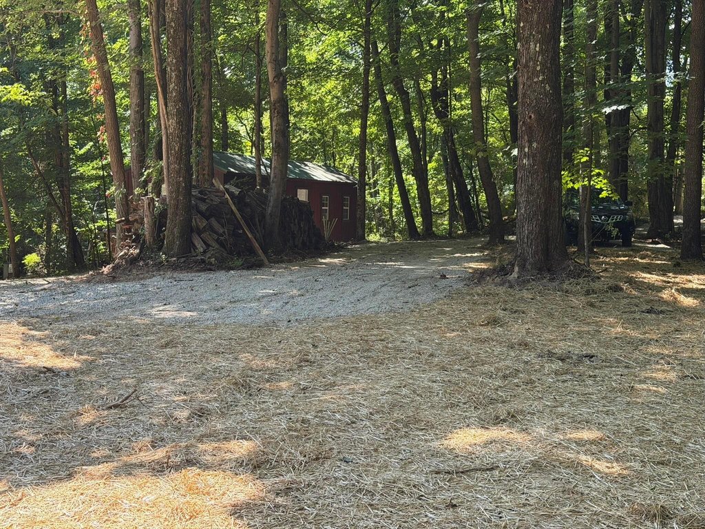 Picture 20