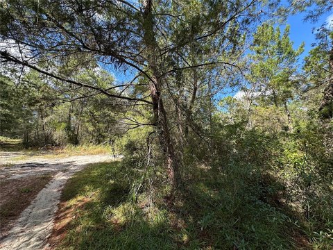 Williston Land: Build Your Dream