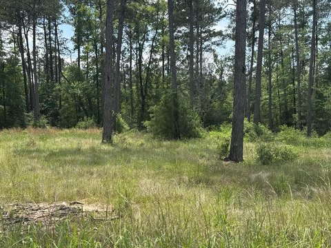 Residential Lot Near Lake Sam