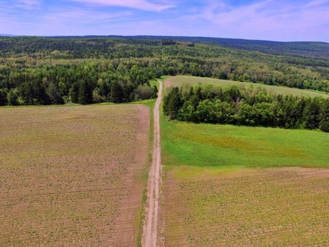 Expansive Northern Maine Land Parcel