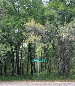LAND - DUNNELLON, FL