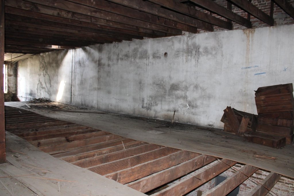 Picture 19