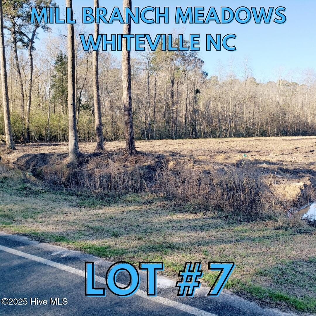 Residential Lot in Mill Branch