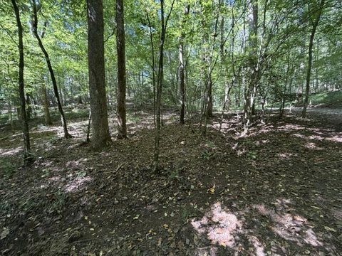 Vacant Lot, Cherry Log, GA