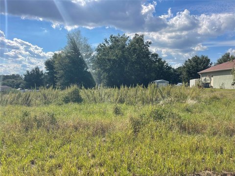 Land, ASTATULA, FL