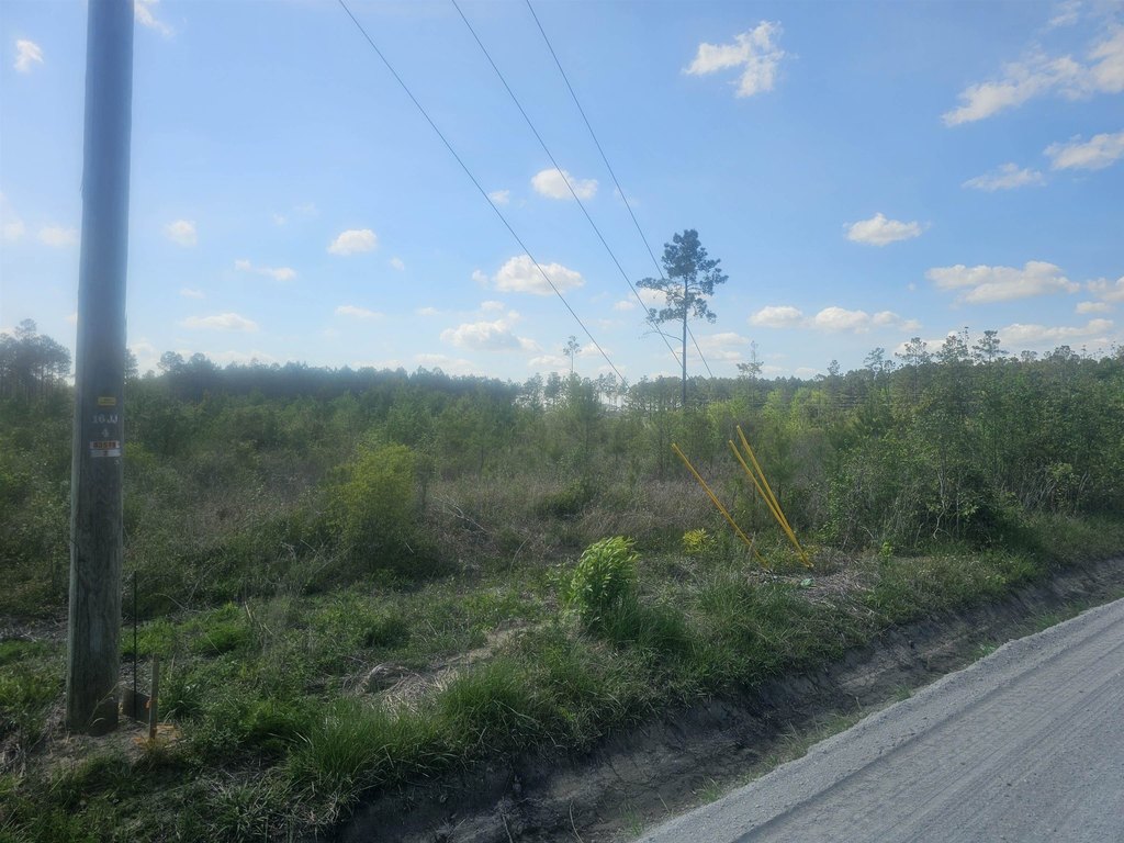 Picture 4
