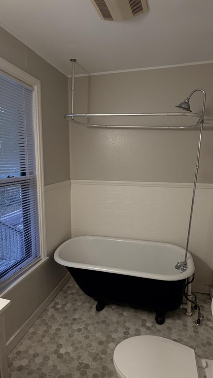 Picture 54