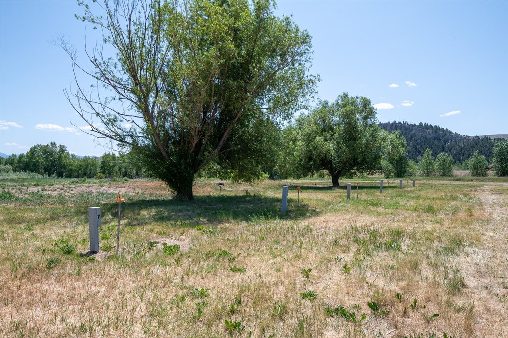 Picture 45