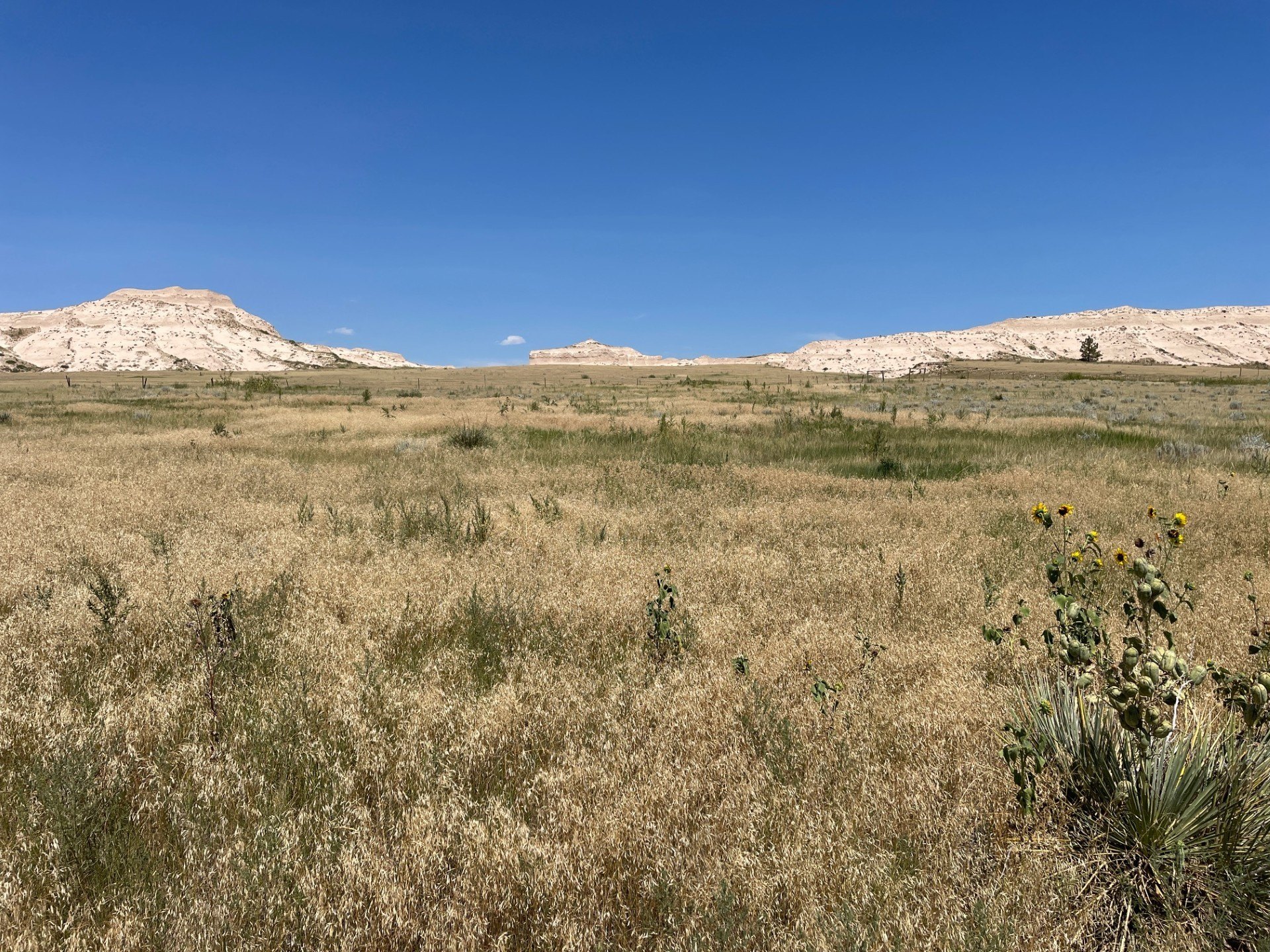 25 Acre Vacant Land