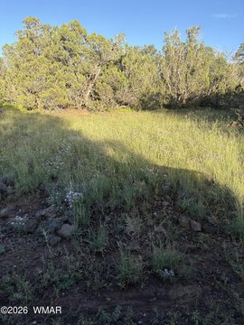 Concho, AZ Acreage for Sale