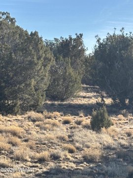 Concho, AZ Acreage for Sale