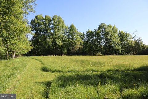 Serene 2.28-Acre Building Lot